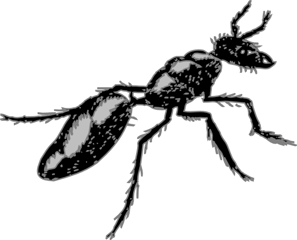 Fuzzy clip art at. Ant clipart body