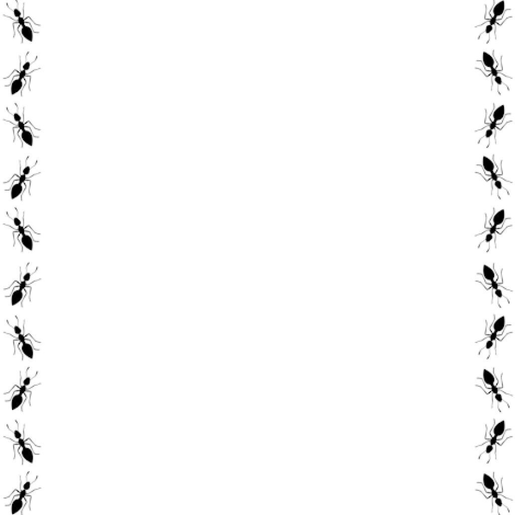 Cliparts making the web. Ant clipart border