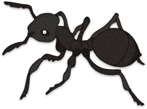 Free black ants cliparting. Ant clipart bullet ant