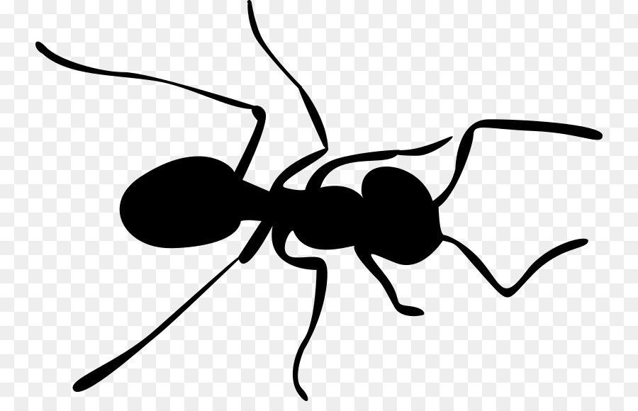 Insect bee clip art. Ant clipart carpenter ant