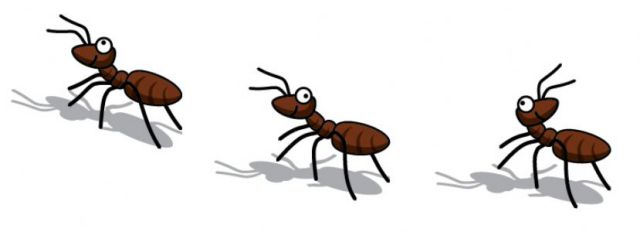 When you know are. Ant clipart carry