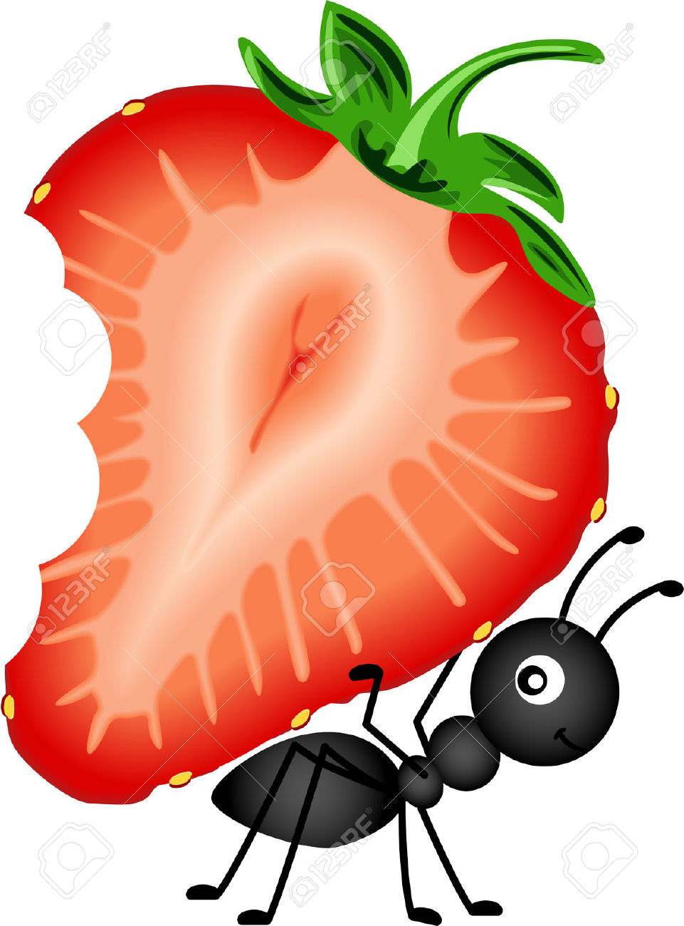  collection of ant. Ants clipart food