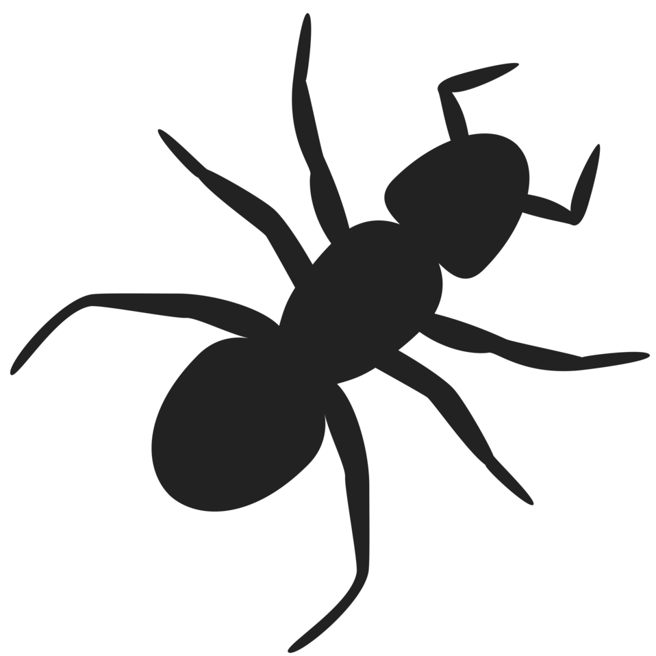 ant clipart clear background