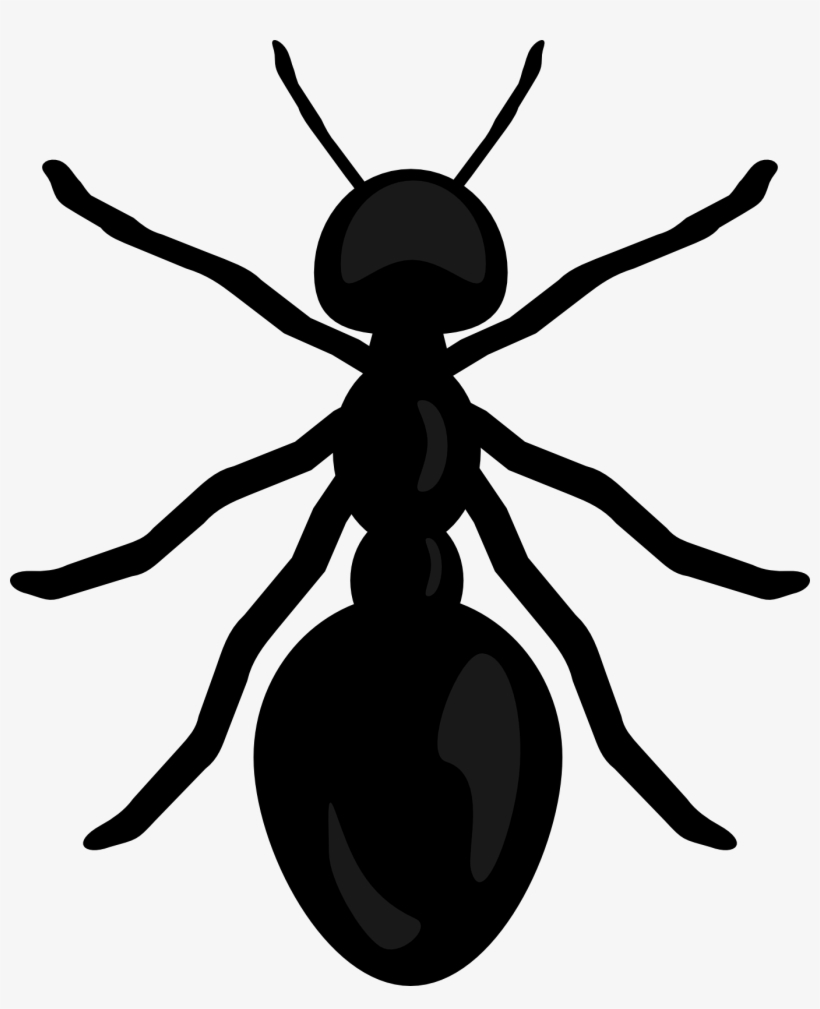 Ant clipart clear background. Ants bug transparent clip