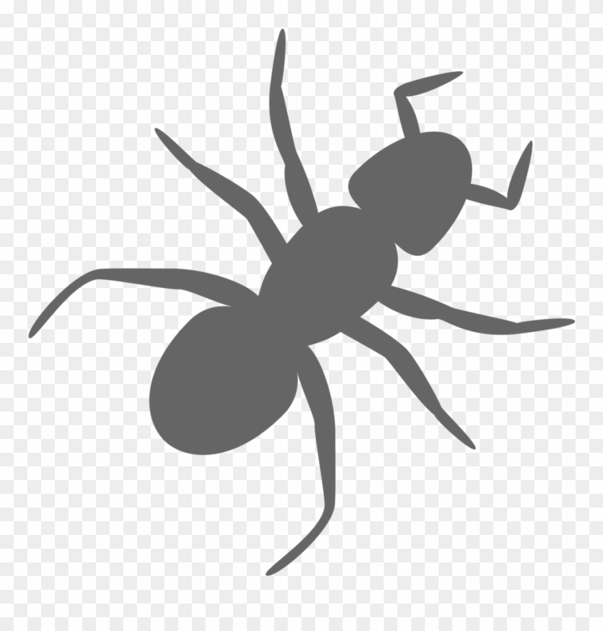 ant clipart clear background