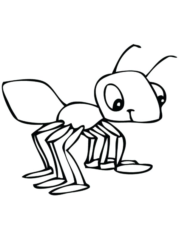 Ant clipart coloring. Ants pages to print