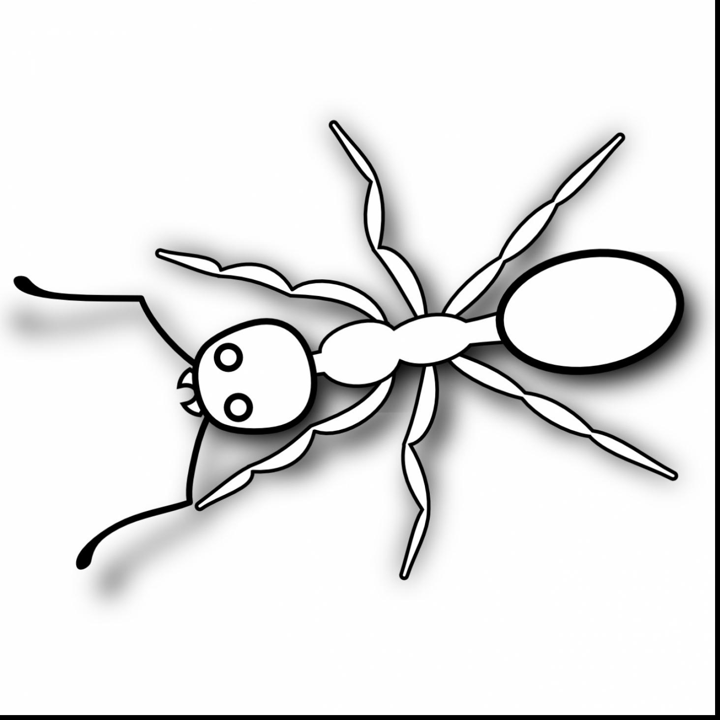Ants clipart sketch. Drawing at getdrawings com