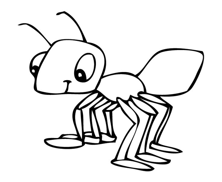 Ant clipart colour. Ants drawing at getdrawings