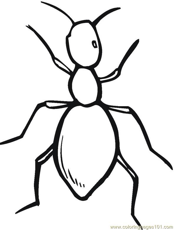 Pictures to color free. Ant clipart colour