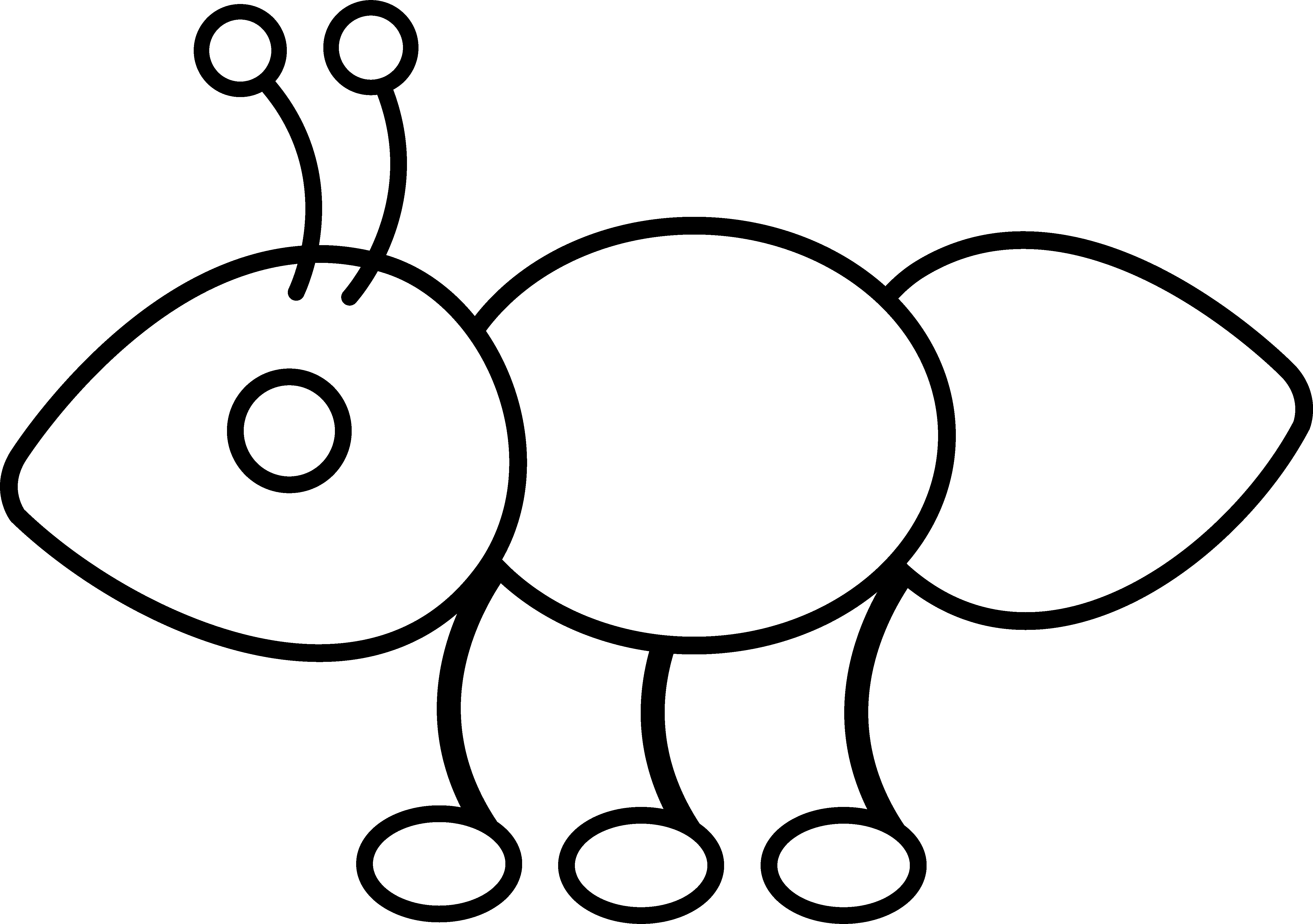 Ant Clipart Colouring Page Ant Colouring Page Transparent FREE For