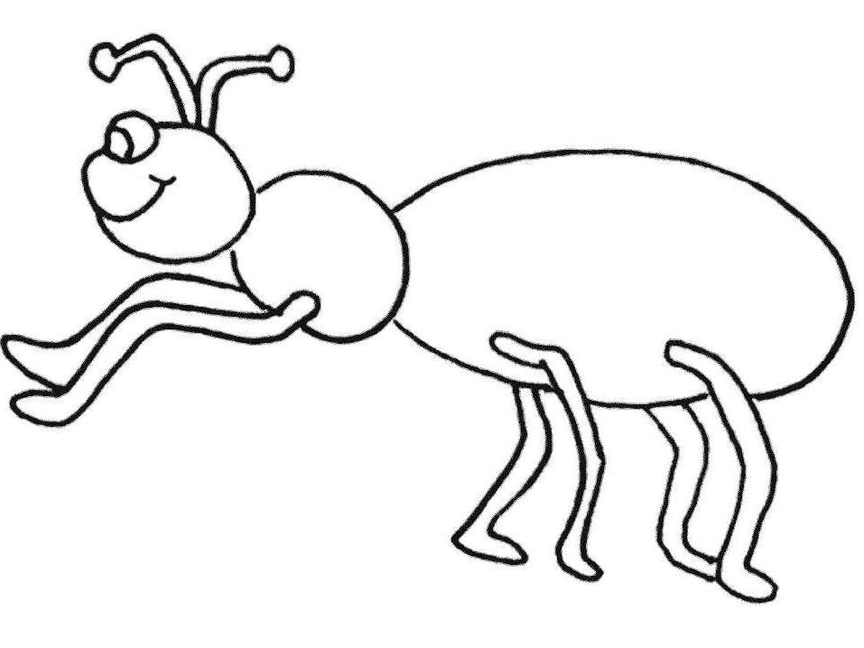 Ants clipart colouring page. Free pictures of for