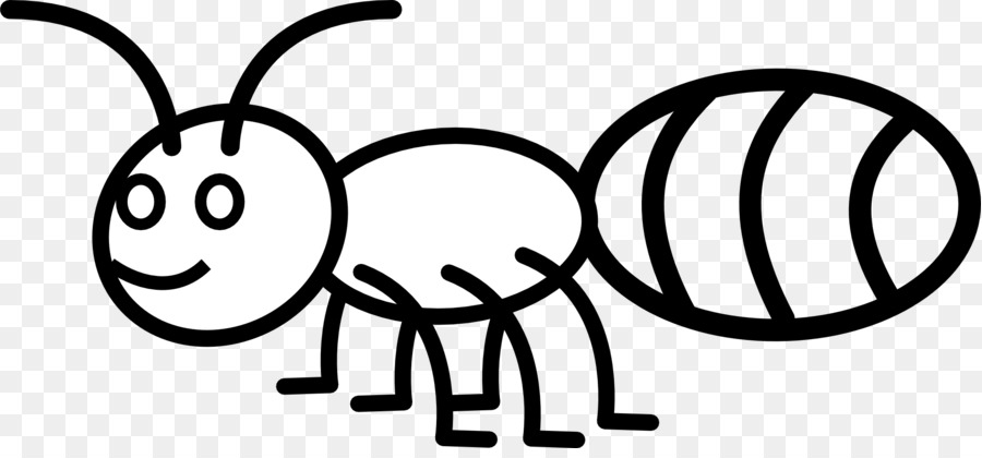 Ant clipart colouring page. Book black and white