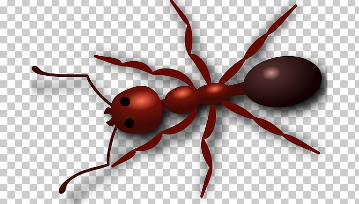 Ants clipart fire ant. Red imported png cliparts