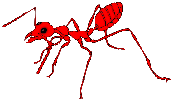 ant clipart fire ant