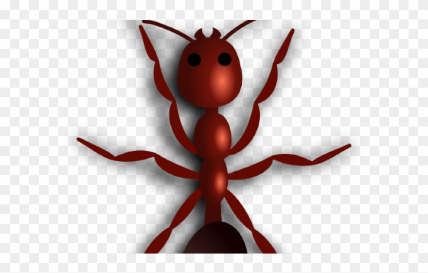 Ants clipart fire ant. Drawn clip art png
