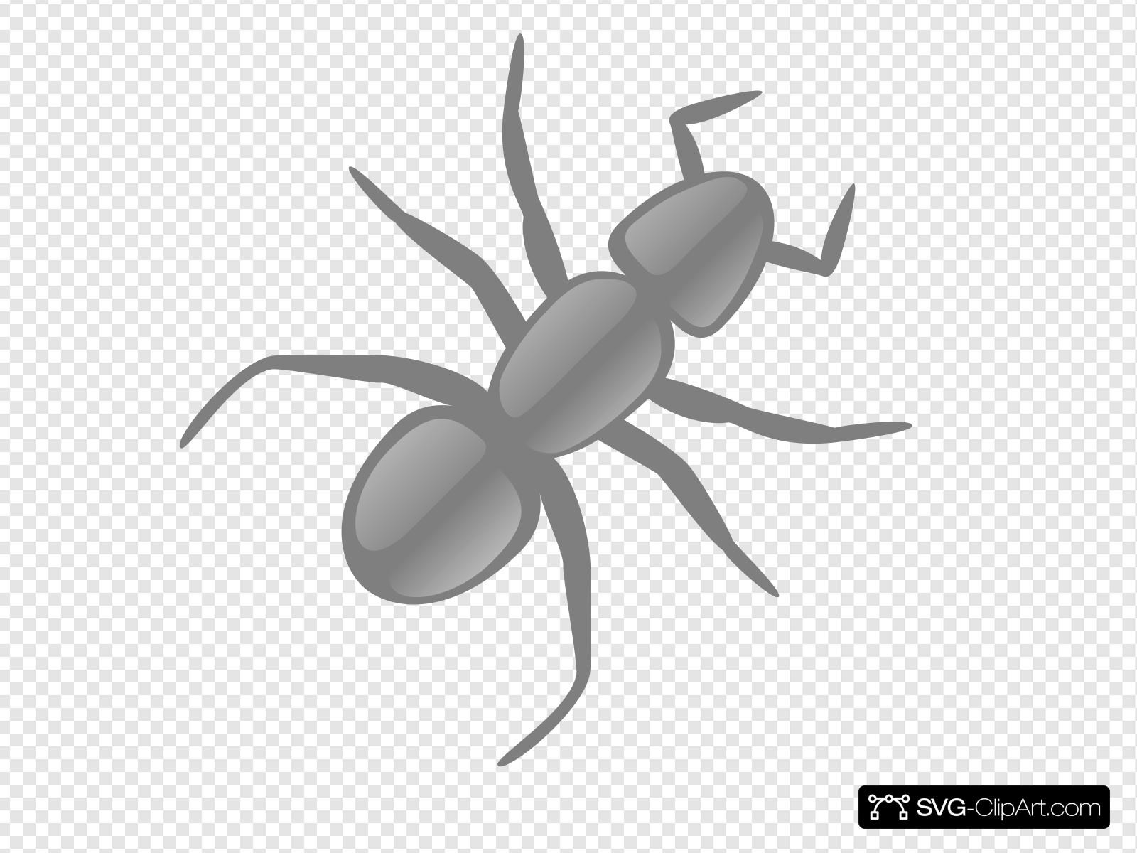 Clip art icon and. Ant clipart gray