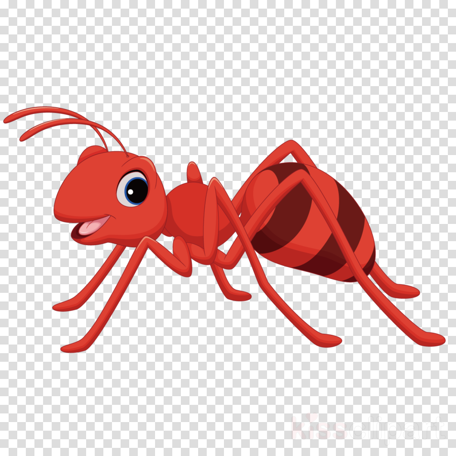Cartoon graphics . Ant clipart illustration