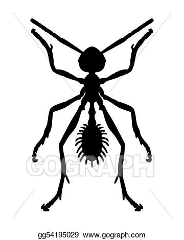Stock drawing gg gograph. Ant clipart illustration