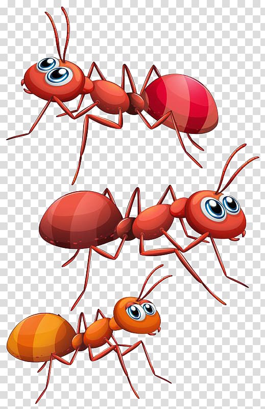 Three and brown illustration. Ants clipart red ant