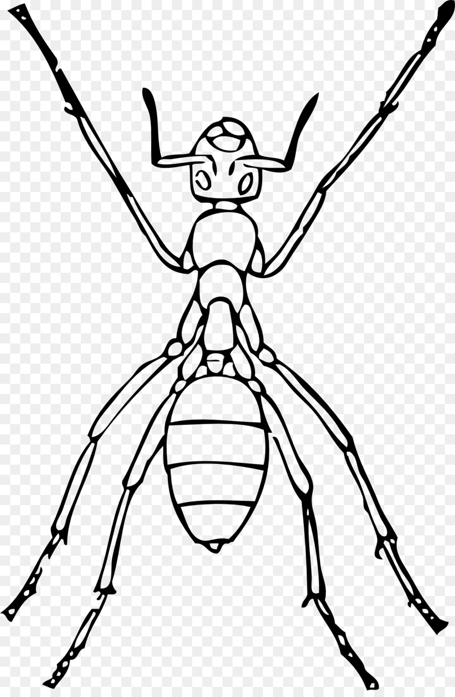 Insect clip art png. Ant clipart line drawing