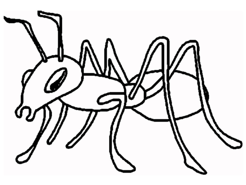 Ant clipart outline. Black and white cliparts