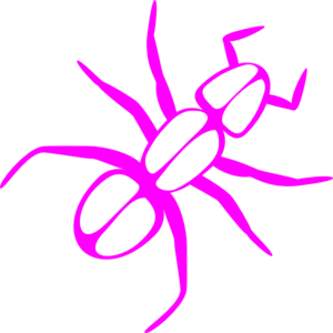 Outline clip art at. Ant clipart pink