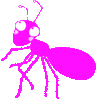 Ant clipart pink. Picture gif png icon