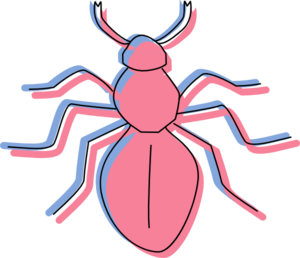 And blue silhouette png. Ant clipart pink