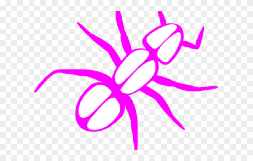 Ant clipart pink. Png download pinclipart 