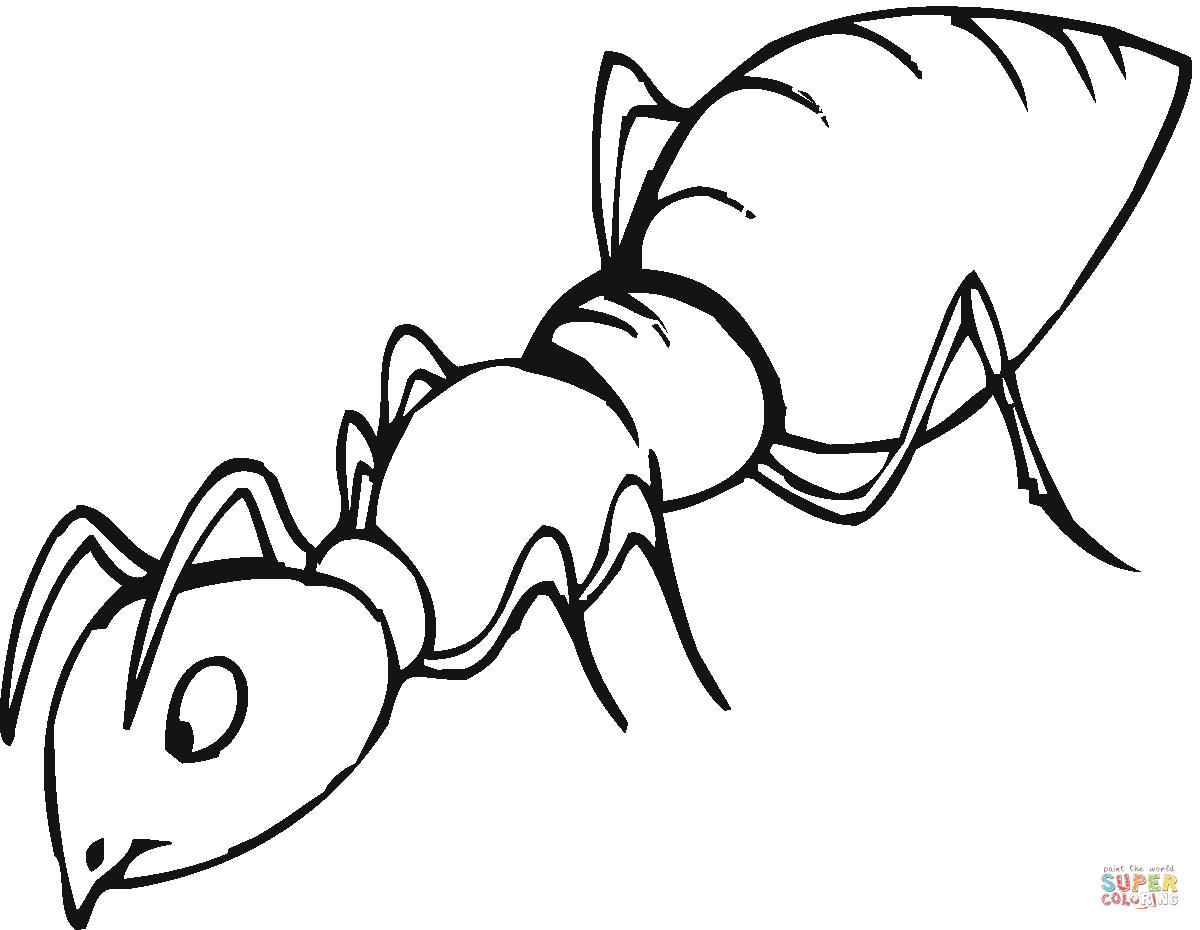 Ants clipart coloring. Ant black and white