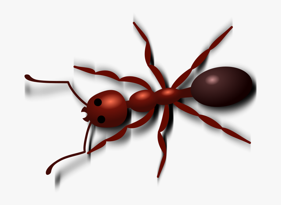 Picnic clip art ants. Ant clipart red ant