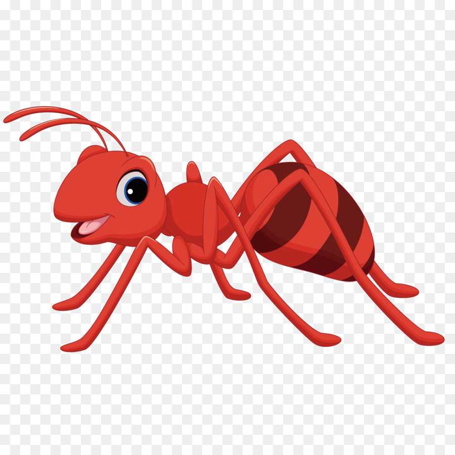 Cartoon clip art png. Ants clipart red ant