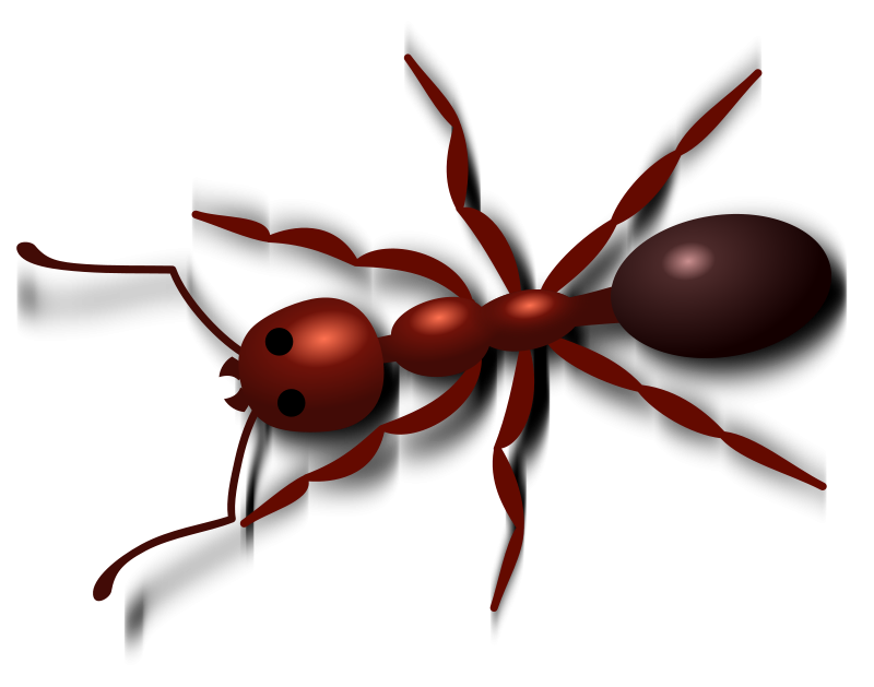 Ant clipart red ant. Free clip art panda