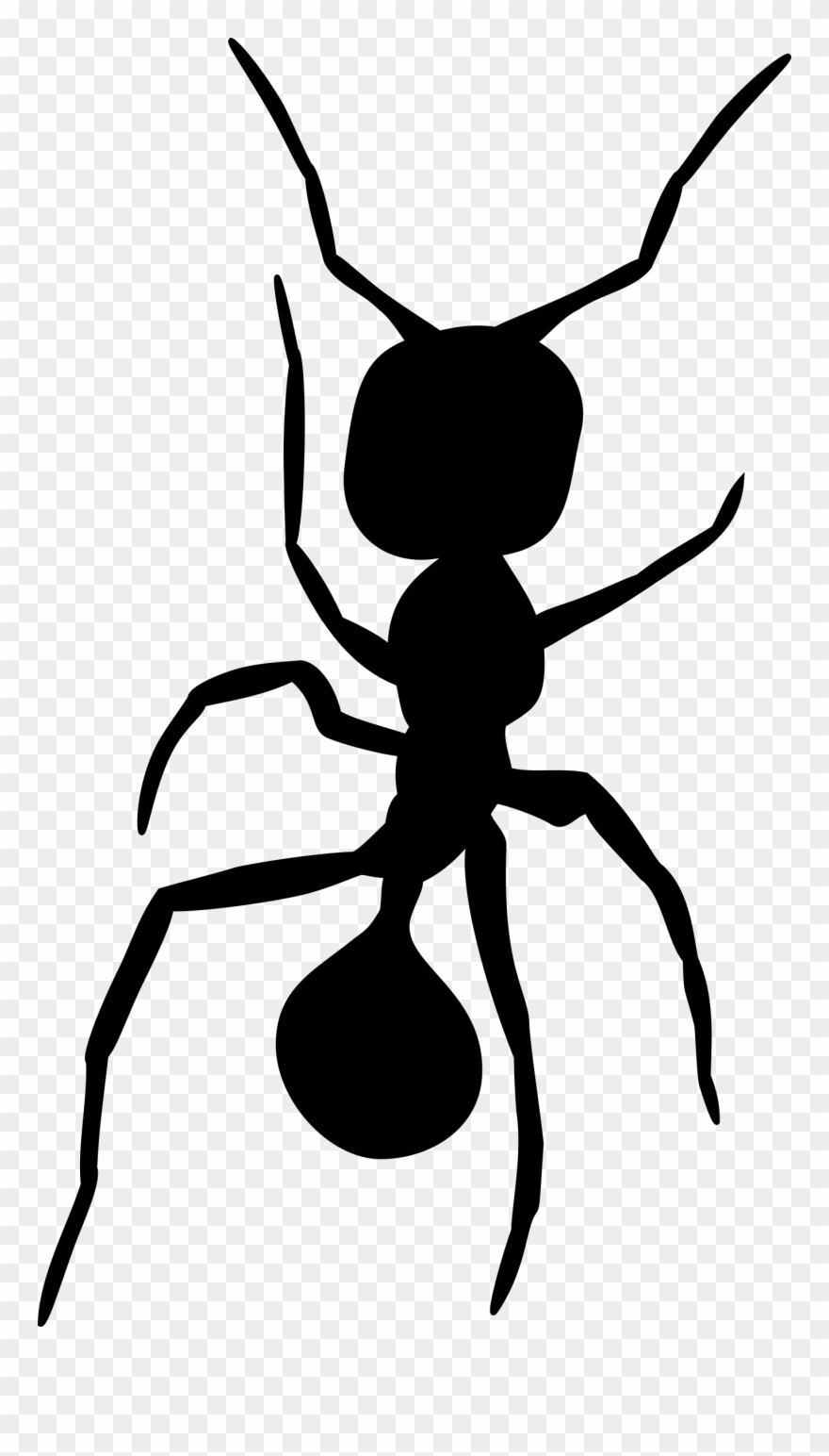 By tulvur drawing . Ant clipart silhouette