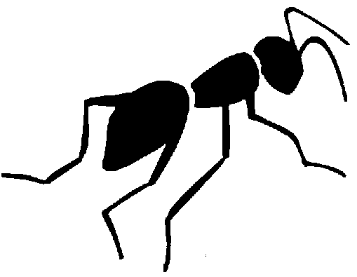 ants clipart carpenter ant