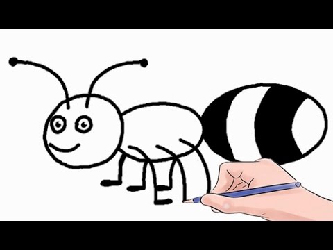 How to draw an. Ant clipart sketch