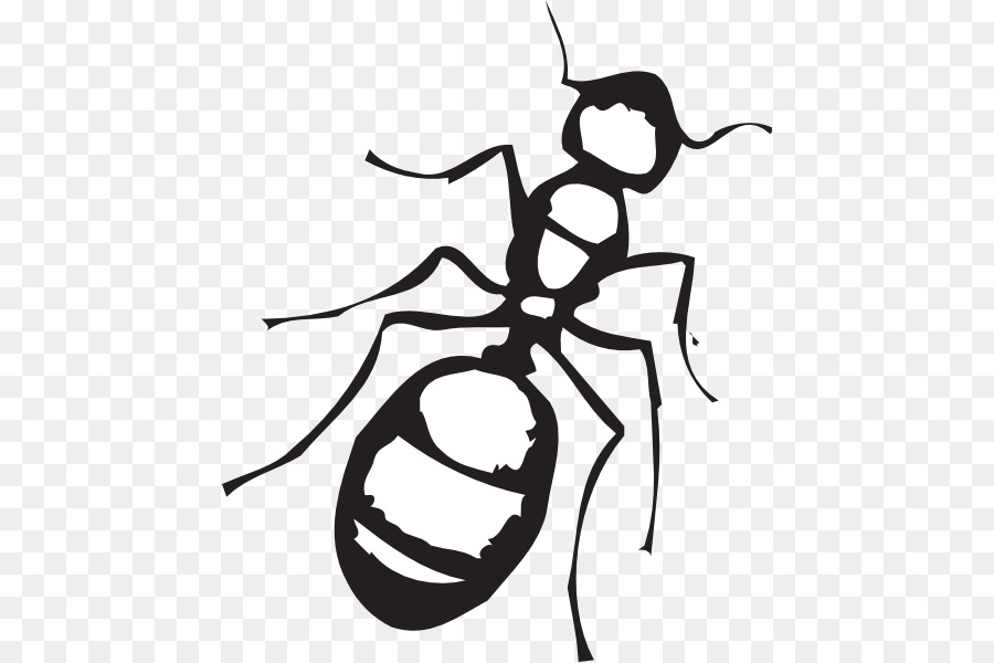 Black and white clip. Ant clipart small ant