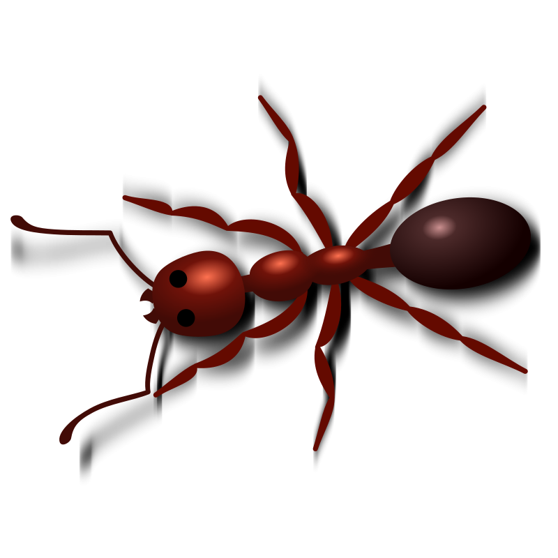 Ant png images all. Ants clipart transparent background