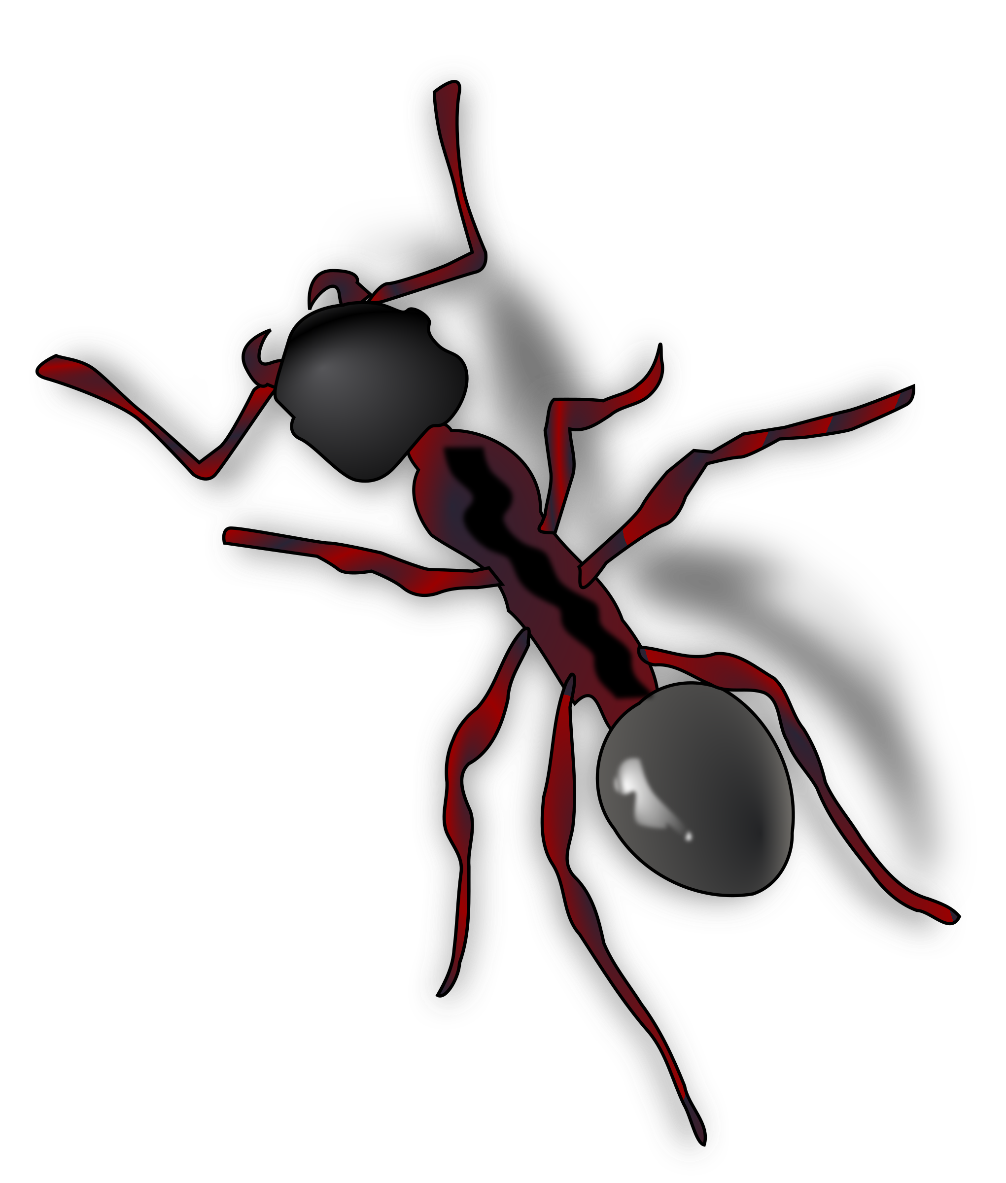 Png . Ant clipart transparent background