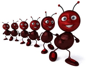 Ants clipart sad. Combat ant and roach