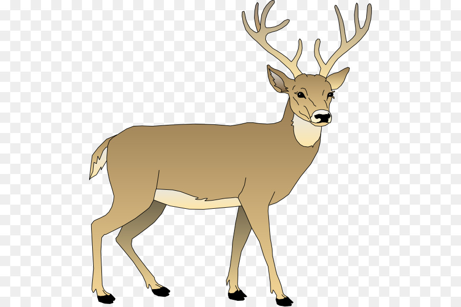 Antlers clipart animated. White tailed deer clip