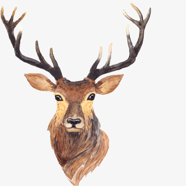 Antlers brown animation ear. Antler clipart animated