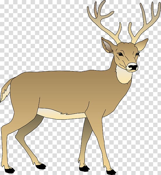 Antler clipart animated. White tailed deer bay