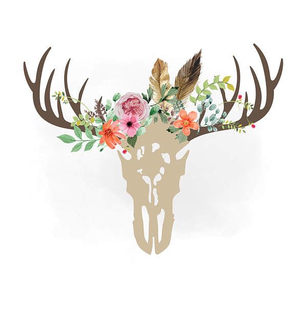 Floral antlers deer skull. Antler clipart boho