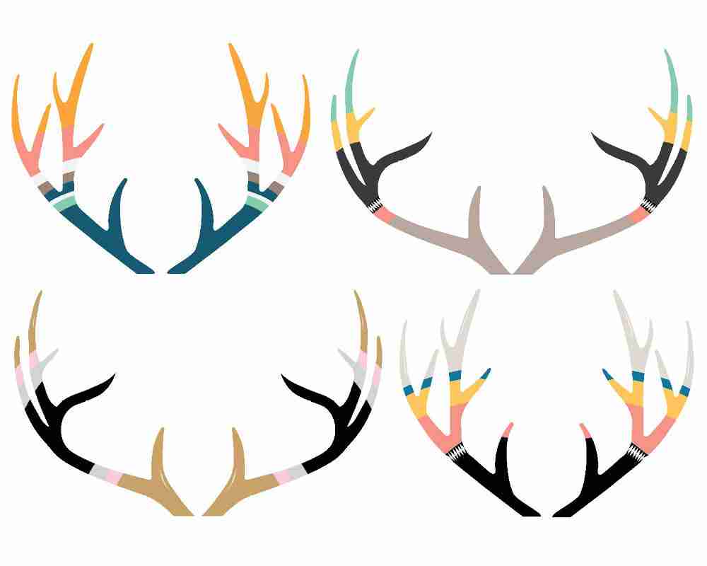 antler clipart cute