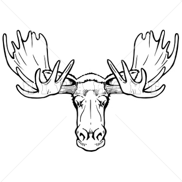 Gallery for moose head. Antler clipart draw