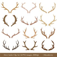 Antlers clipart baby deer. Forest fawn antler diy