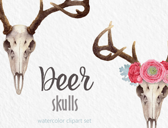 Antlers clipart flower crown. Watercolor deer skull digital