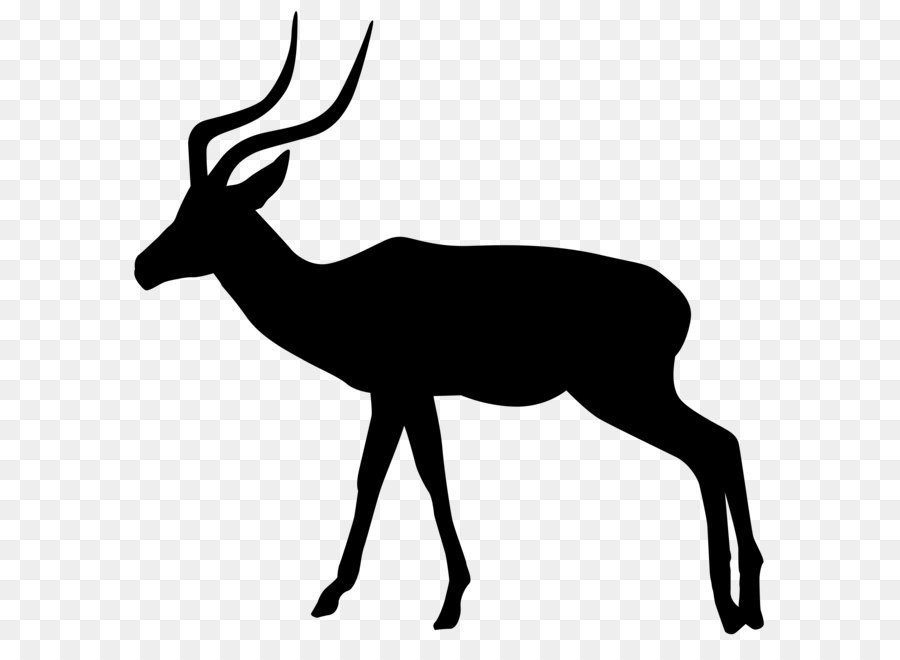 Antlers clipart gazelle. Silhouette impala clip art