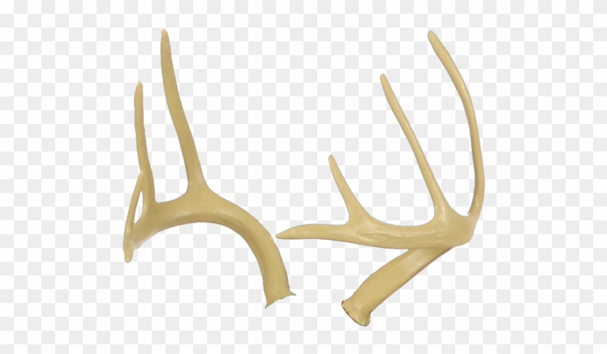 Antler clipart transparent background. Deer antlers 